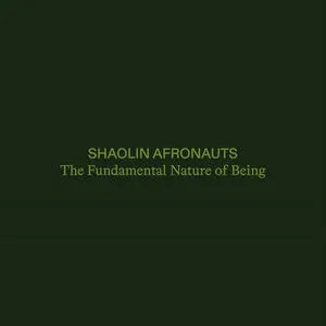 The fundamental nature of being